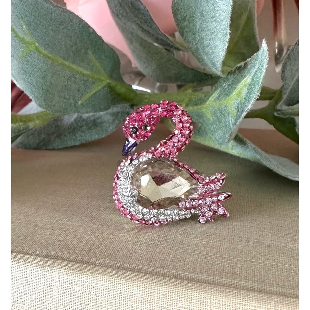 Swan stretch ring